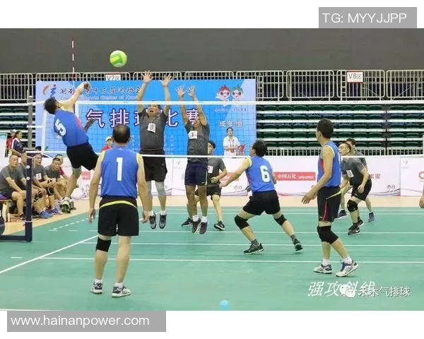 深入分析西安排球队快攻战术的独特魅力与实战应用